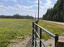 On Range Road 7-2, Rural Clearwater County, AB 