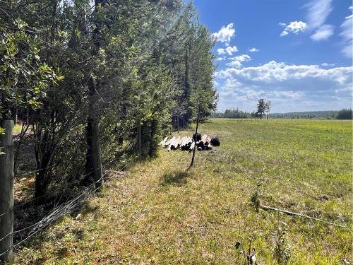 On Range Road 7-2, Rural Clearwater County, AB 