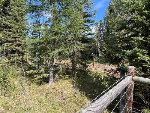 On Range Road 7-2, Rural Clearwater County, AB 