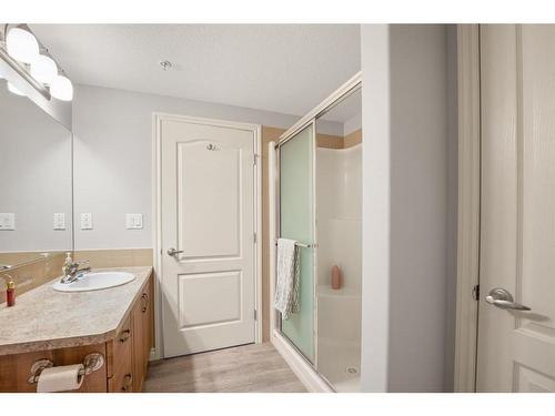 128-6 Michener Boulevard, Red Deer, AB - Indoor Photo Showing Bathroom