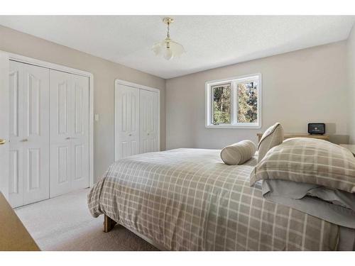 49471 Range Road 231, Rural Leduc County, AB - Indoor Photo Showing Bedroom