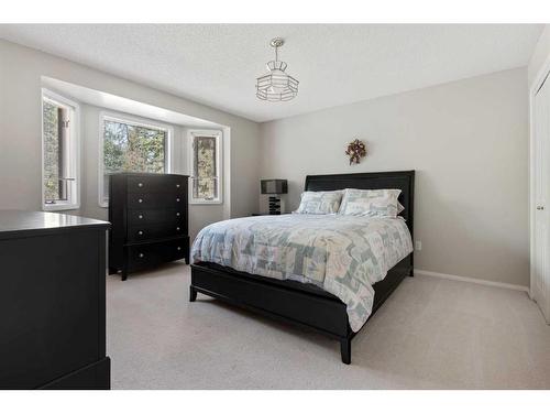 49471 Range Road 231, Rural Leduc County, AB - Indoor Photo Showing Bedroom