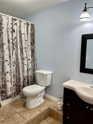 412 Lobstick Trail, Rural Clearwater County, AB - Indoor Photo Showing Bathroom