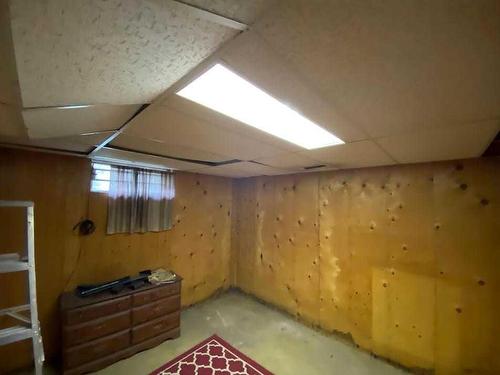 280010 Twp Rd 452 Township, Rural Wetaskiwin No. 10, County Of, AB - Indoor Photo Showing Basement