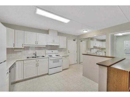 306-4522 47A Avenue, Red Deer, AB - Indoor Photo Showing Kitchen With Double Sink