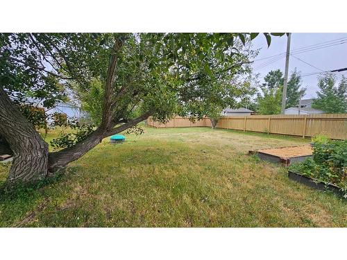 4618 Imperial Avenue, Coronation, AB - Outdoor With Backyard