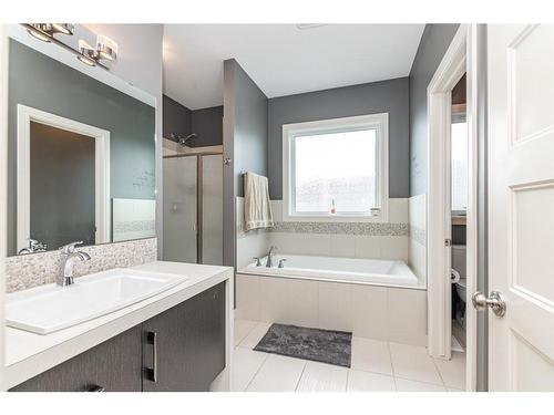 19 Morris Court, Blackfalds, AB - Indoor Photo Showing Bathroom