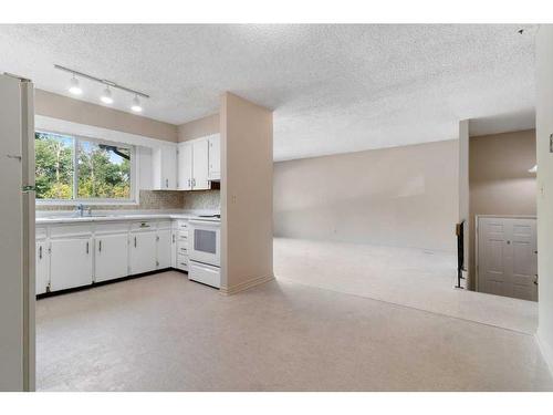 115 Overdown Drive, Red Deer, AB - Indoor Photo Showing Kitchen