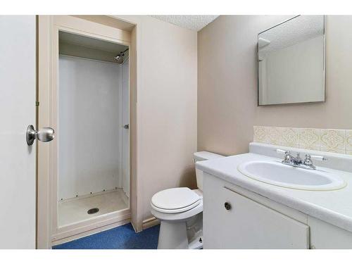 115 Overdown Drive, Red Deer, AB - Indoor Photo Showing Bathroom