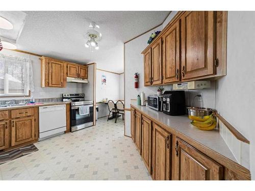 4810 52 Street, Sedgewick, AB - Indoor Photo Showing Kitchen