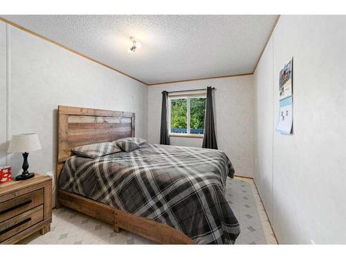 4810 52 Street, Sedgewick, AB - Indoor Photo Showing Bedroom