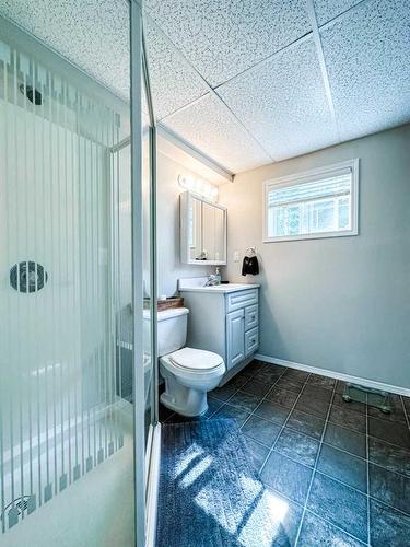 20319 Township Road 38-2, Rural Stettler No. 6, County Of, AB - Indoor Photo Showing Bathroom