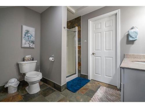 1709 Pratridge Drive, Rural Camrose County, AB - Indoor Photo Showing Bathroom