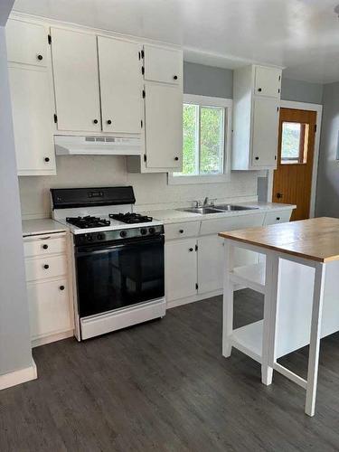 5018 49 Street, Sedgewick, AB - Indoor Photo Showing Kitchen With Double Sink