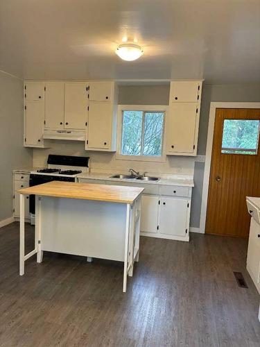 5018 49 Street, Sedgewick, AB - Indoor Photo Showing Kitchen With Double Sink