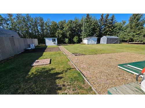 4306 49 Avenue, Castor, AB - Outdoor With Backyard