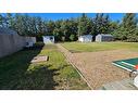 4306 49 Avenue, Castor, AB  - Outdoor With Backyard 