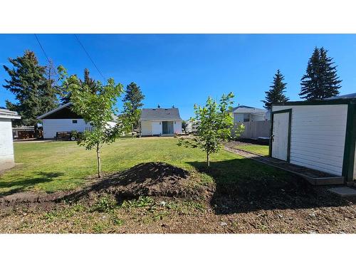 4306 49 Avenue, Castor, AB - Outdoor