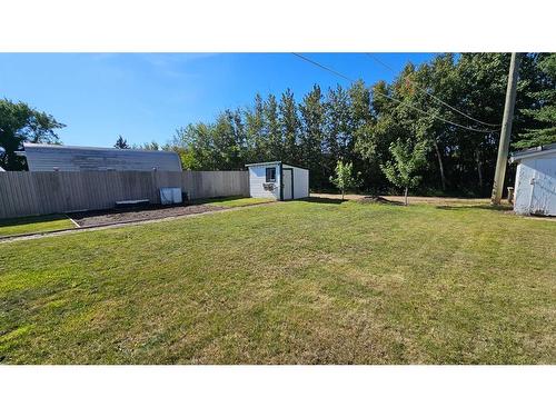 4306 49 Avenue, Castor, AB - Outdoor With Backyard