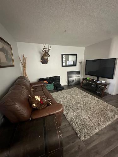 5007/5009 53 Street, Rocky Mountain House, AB - Indoor Photo Showing Living Room