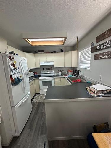 5007/5009 53 Street, Rocky Mountain House, AB - Indoor Photo Showing Kitchen