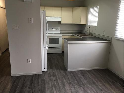 5007/5009 53 Street, Rocky Mountain House, AB - Indoor Photo Showing Kitchen With Double Sink