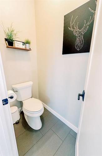 133 Lakeshore Drive, Rural Camrose County, AB - Indoor Photo Showing Bathroom