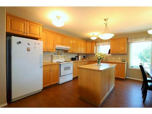 42474 Range Road 220 Range, Rural Camrose County, AB - Indoor Photo Showing Kitchen With Double Sink