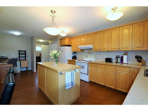 42474 Range Road 220 Range, Rural Camrose County, AB - Indoor Photo Showing Kitchen With Double Sink