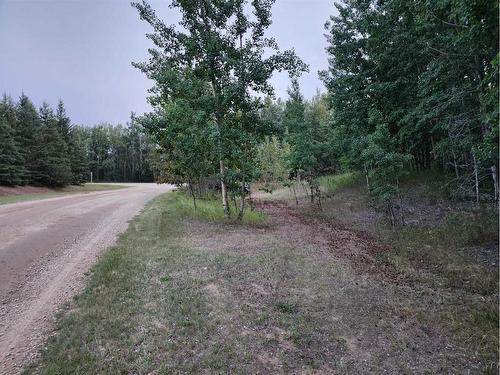 134-35102 Rg Rd 24, Rural Red Deer County, AB 