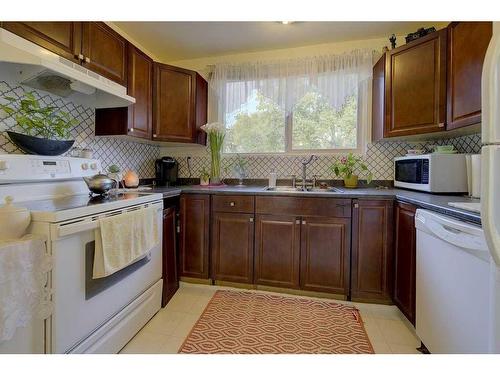 16 Mcintosh Avenue, Red Deer, AB - Indoor Photo Showing Kitchen With Double Sink