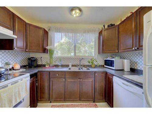 16 Mcintosh Avenue, Red Deer, AB - Indoor Photo Showing Kitchen With Double Sink