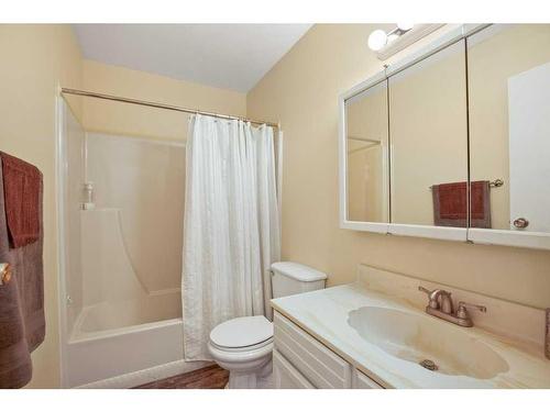 6121 Hamilton Drive, Red Deer, AB - Indoor Photo Showing Bathroom