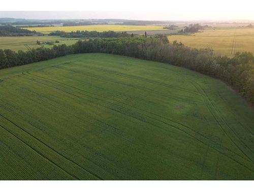 On Range Road 30A, Rural Ponoka County, AB 