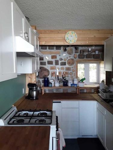 20201 Twp Rd 460, Rural Camrose County, AB - Indoor Photo Showing Kitchen