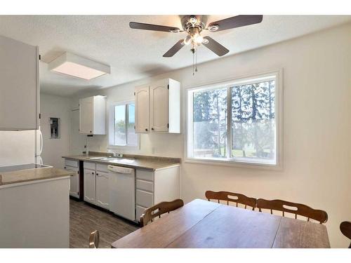 4806 48 Avenue, Forestburg, AB - Indoor Photo Showing Kitchen