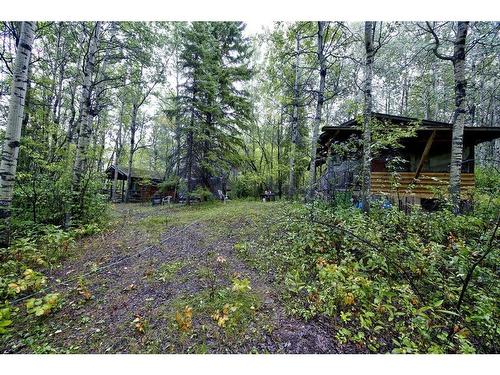 445075 Range Road 10, Rural Ponoka County, AB - Outdoor