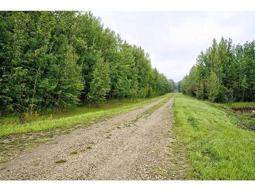 445075 Range Road 10, Rural Ponoka County, AB - Outdoor