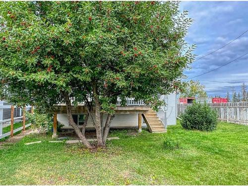 228 2 Avenue Ne, Three Hills, AB - Outdoor