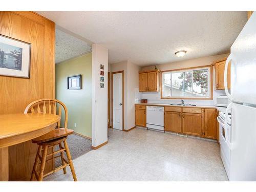 103 Nolan Street, Red Deer, AB - Indoor Photo Showing Kitchen