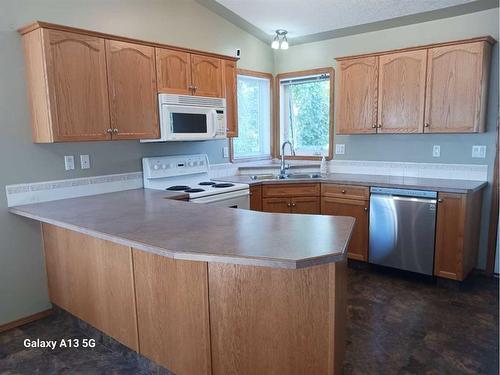 366 Duston Street, Red Deer, AB - Indoor Photo Showing Kitchen With Double Sink