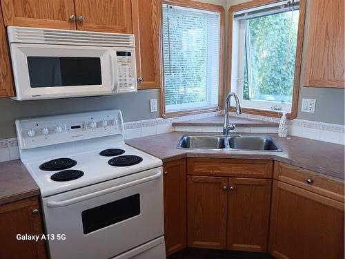 366 Duston Street, Red Deer, AB - Indoor Photo Showing Kitchen With Double Sink