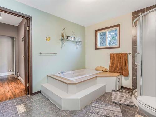 A&B 48472 Rge Rd 252, Rural Leduc County, AB - Indoor Photo Showing Bathroom