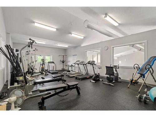 158A-10046 Township Road 422 Road, Rural Ponoka County, AB - Indoor Photo Showing Gym Room