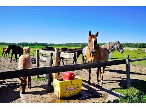 353022 Range Road 4-3, Rural Clearwater County, AB - Outdoor With View