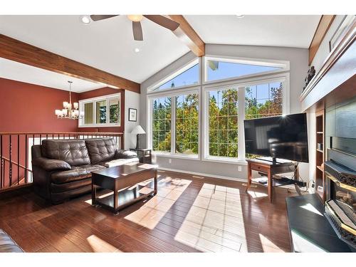 209-27475 Township Road 380, Rural Red Deer County, AB - Indoor Photo Showing Living Room With Fireplace