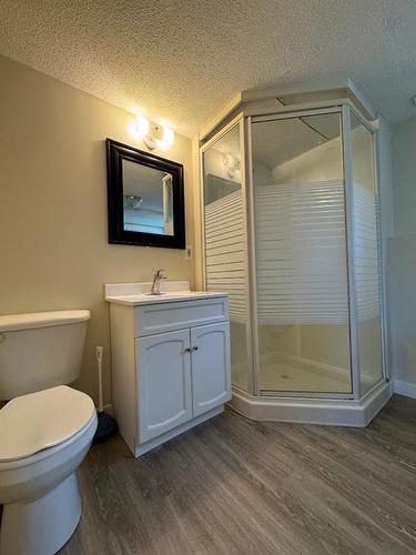 4309 75 Street, Camrose, AB - Indoor Photo Showing Bathroom