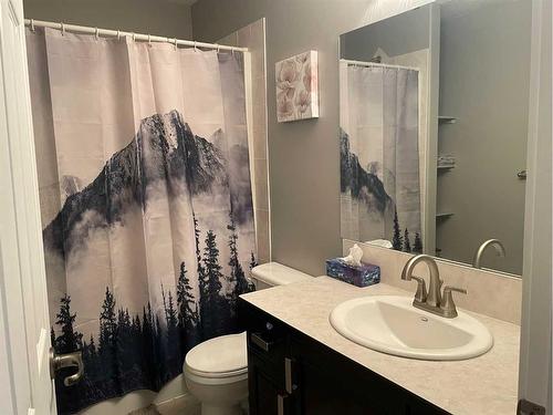 4607 4A Street South, Boyle, AB - Indoor Photo Showing Bathroom