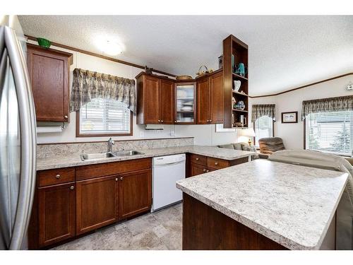 192A Beach Drive, Rural Ponoka County, AB - Indoor Photo Showing Kitchen With Double Sink