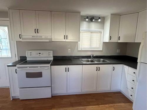 4414 54 Street West, Forestburg, AB - Indoor Photo Showing Kitchen With Double Sink